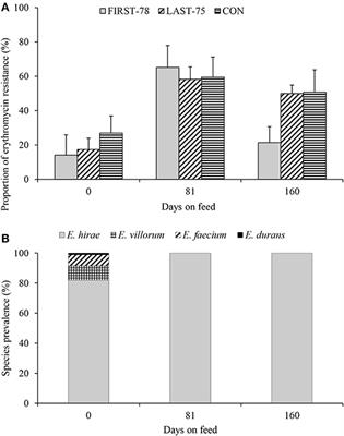 Investigation of a Reduction in Tylosin on the Prevalence of Liver Abscesses and Antimicrobial Resistance in Enterococci in Feedlot Cattle